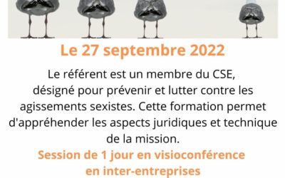 Formation Harcèlement moral, sexuel et sexiste